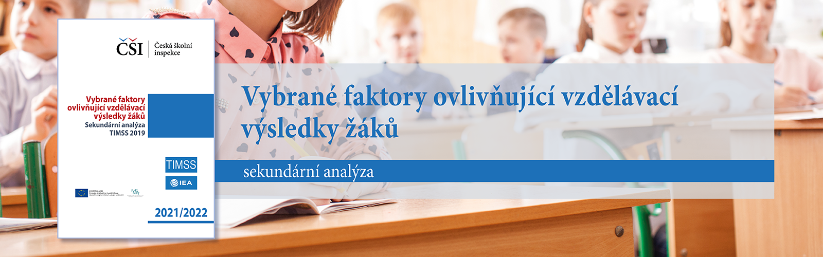 Sekundární analýza TIMSS 2019